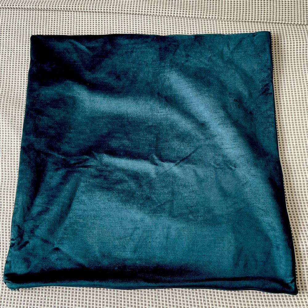 West Elm velvet pillow covers - two